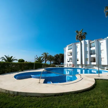 Palmeras 31 Menyber